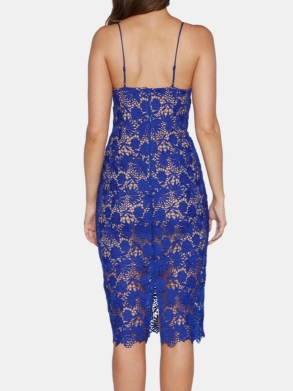 Bardot cobalt  blue Tayla overlay lace cocktail midi dress US SZ 8/M - Picture 2 of 10
